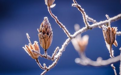 How To Take Care Of Yourself In Winter