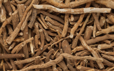 The Balancing Power of Ashwagandha