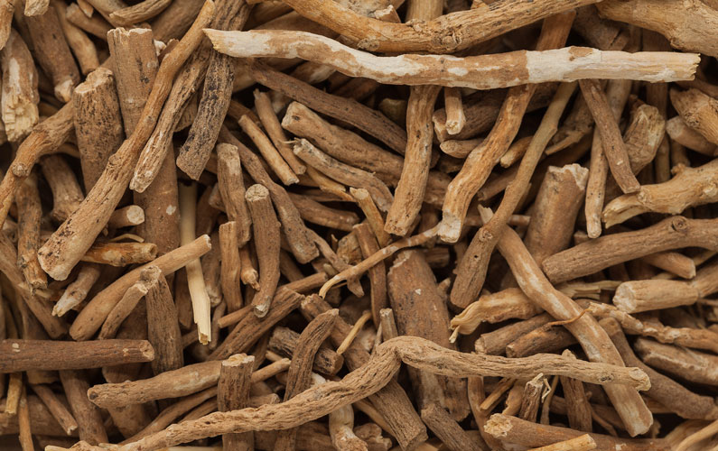 The Balancing Power of Ashwagandha