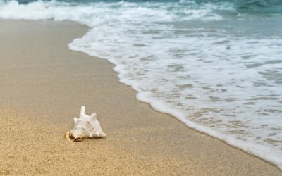 Asanas to ease your mind