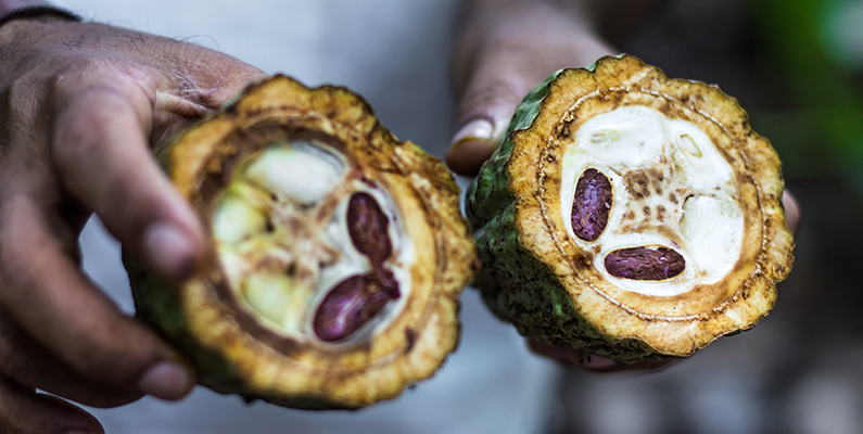 MoreGoodness: MAD ABOUT CACAO