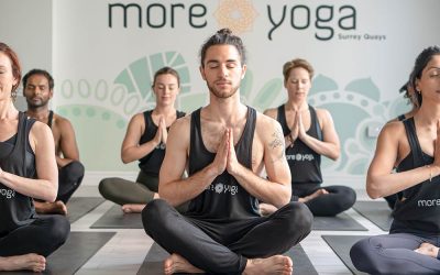 Yoga Will Save The World: Why the World Needs Yogic Principles Now