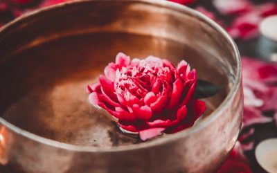Hitting Pause: The role of ritual in creating more personal bliss