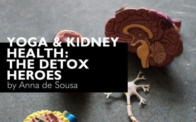 Yoga & Kidney Health: The Detox Heroes