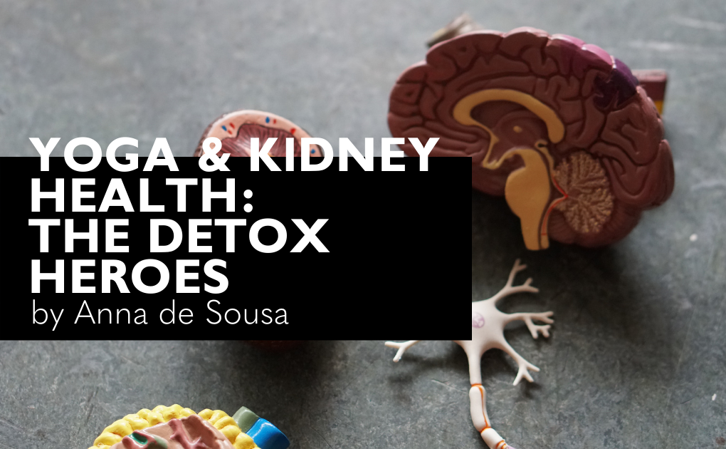Yoga & Kidney Health: The Detox Heroes