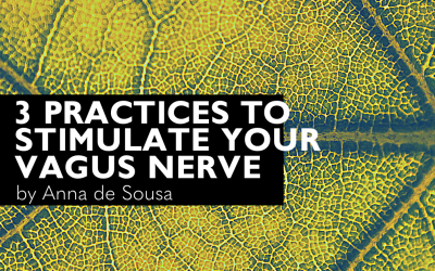 3 Practices to Stimulate your Vagus Nerve