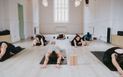 What Is Mysore Yoga? A Guide to Our New Mysore-Style Ashtanga Practice