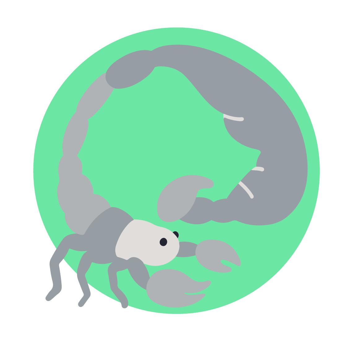 Rebirth Warrior