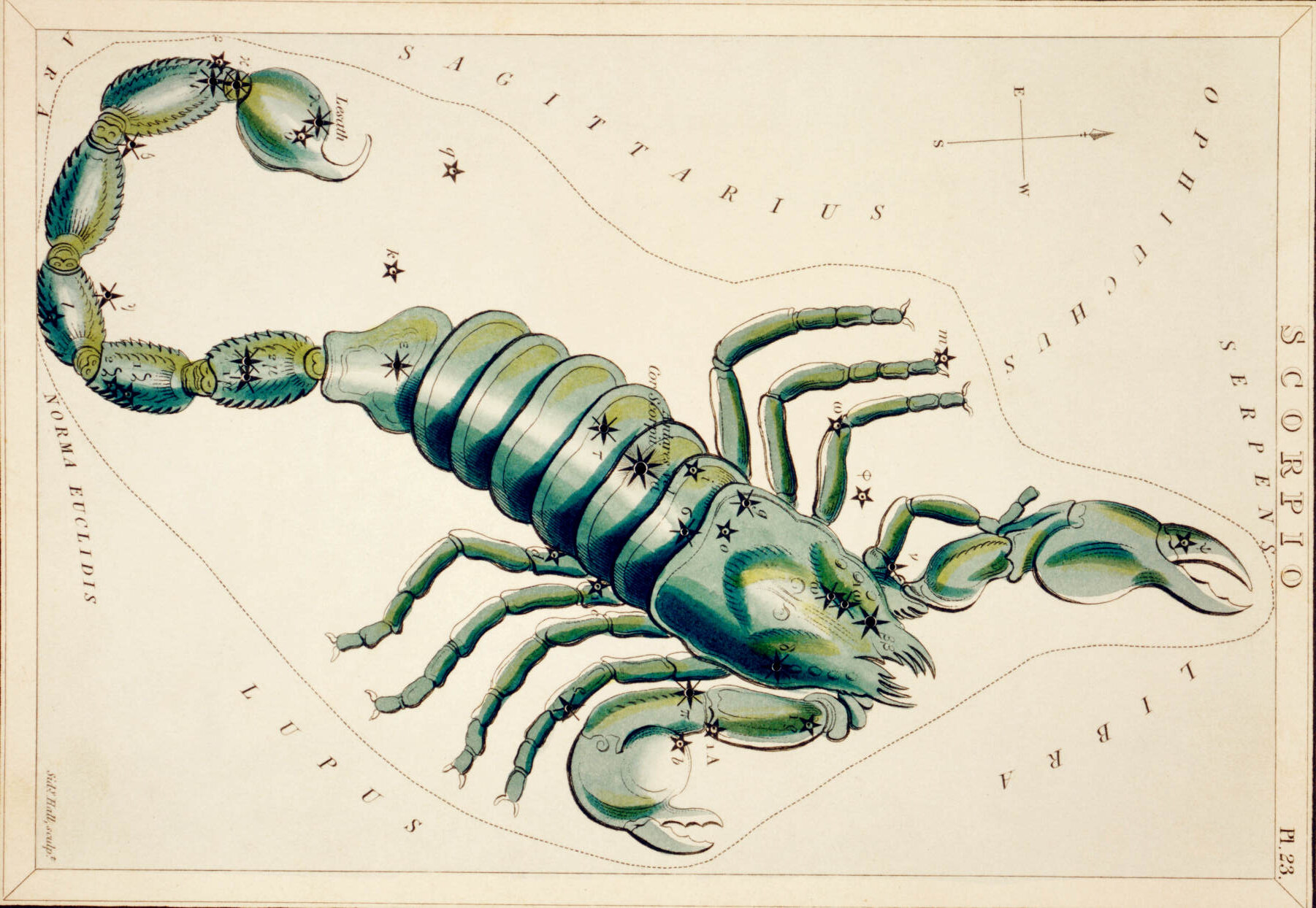 Scorpio constellation Antique hand-coloured star chart of the Scorpio constellation showing a scorpion